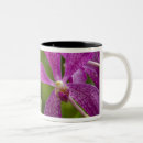 Recherche de singapour tasses Coloré