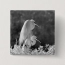 Search for naples buttons Florida