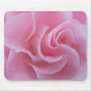 Recherche de camelia tapis souris Camellie