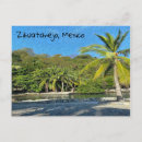 Recherche de palmiers verts posters Tourisme