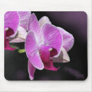 Recherche de orchidées roses tapis souris Nature