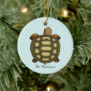 Search for cute turtle ornaments Watercolor