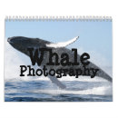 Recherche de baleine calendriers Des baleines