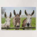 Recherche de puzzels humor puzzles Funny