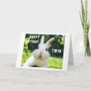 Recherche de lapins photographie Pour eux
