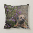 Search for border terrier pillows Dog