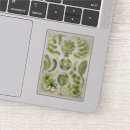 Search for sea plants stickers Seaweed