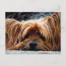 Recherche de puce cartes postales Chien