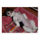 Search for dog days of summer Puppy