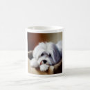 Search for coton mugs Pet