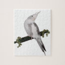 Recherche de lierre puzzles Nature