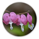 Recherche de cuisine rose boutons et poignées de porte Armoire