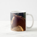 Recherche de chevaux arabes tasses Châtaigne