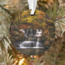 Search for new england ornaments Connecticut