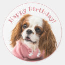 Search for cavalier king charles spaniel stickers Animal