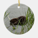 Search for beaver ornaments Rodent