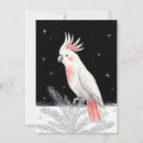 Search for macaw christmas cards Cockatoo