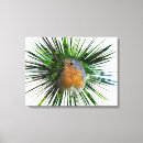 Search for robin bird canvas prints Animals