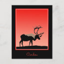 Search for caribou postcards Alaska