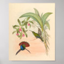 Search for hummingbird art Blue