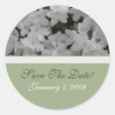 Search for azalea stickers White