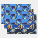 Search for sea creature wrapping paper Coral reef