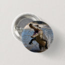 Search for jaws buttons Wildlife