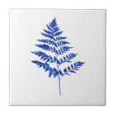 Search for royal blue tiles Minimalist