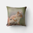 Search for red squirrel pillows Animal