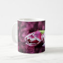 Recherche de tulpe Bluffer