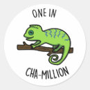 Search for chameleons stickers One in a million