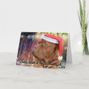 Search for mastiff christmas cards Dogue de bordeaux