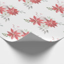 Recherche de poinsettias Poinsettes