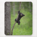 Search for danita delimont mousepads Black bear