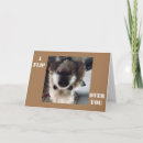 Search for cocker spaniel photography Funny
