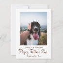 Search for border collie cards From the dog