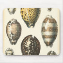 Search for shore mousepads Shell