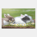 Search for baby bunny stickers Pet