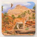 Search for mountain lion coasters Nature