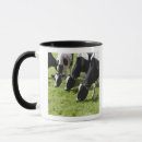 Search for grazing cows mugs Horizontal