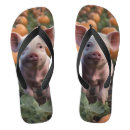 Search for pig sandals Cute
