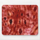 Recherche de cellules tapis souris Résumé