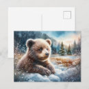 Search for and pine tree postcards Woodland