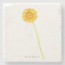 Search for gerbera barware Yellow
