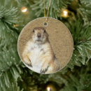 Search for prairie dog ornaments Cute