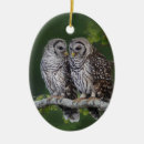 Search for barred owl ornaments Strix varia