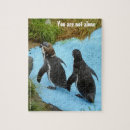 Search for wild bird puzzles Wildlife