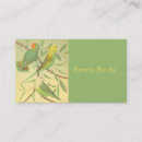 Recherche de cage oiseaux cartes visite Perruche