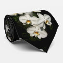 Search for phalaenopsis Tropical flowers