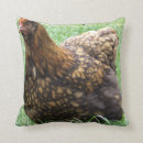 Search for hen pillows Poultry